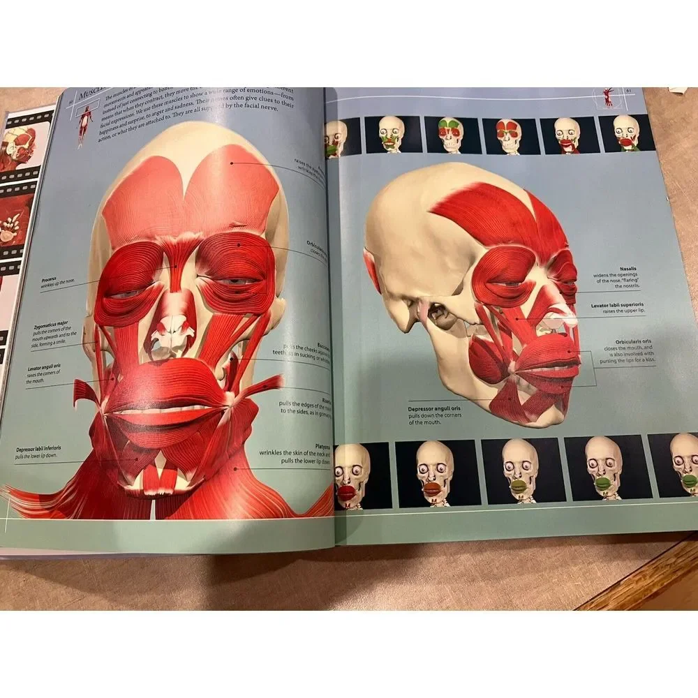Anatomy 360: The Ultimate Visual Guide to the Human Body Dr. Jamie Roebuck- EUC